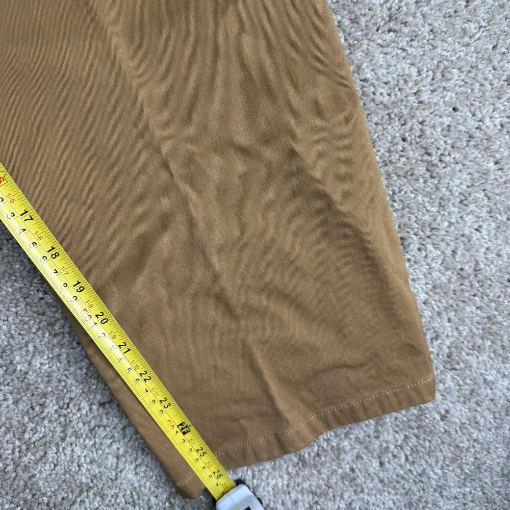 Levis levis 541